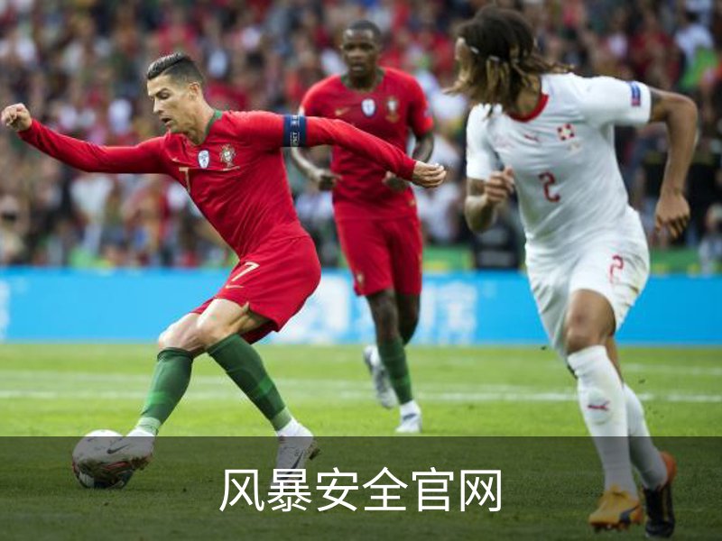 风暴安全官网简介
